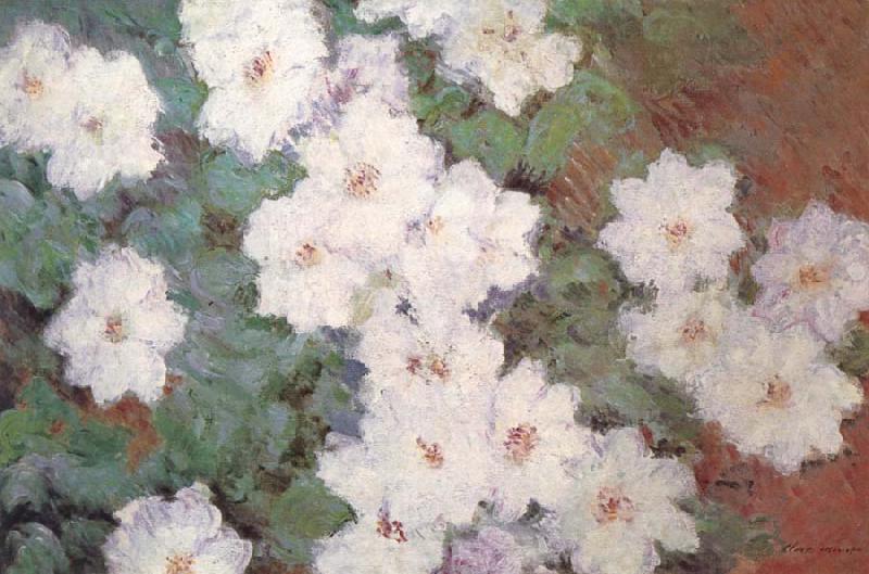 Claude Monet Clematis Norge oil painting art